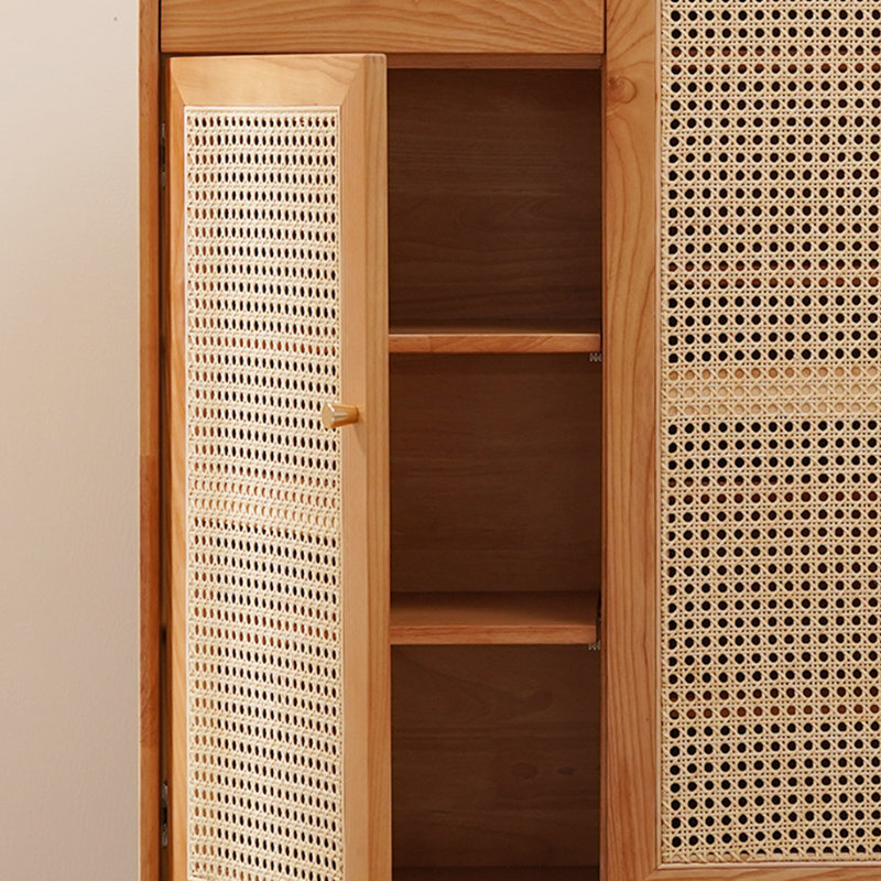 Modern large storage shoe cabinet, Brown