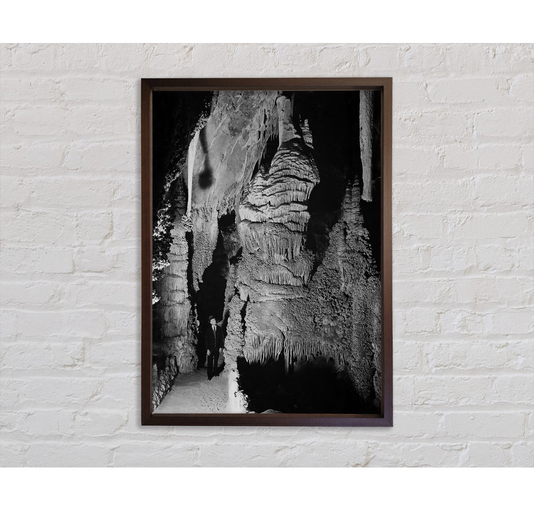 Ansel Adams Carlsbad Caverns National Park New Mexico 2 - Einzelbildrahmen Kunstdrucke auf Leinwand