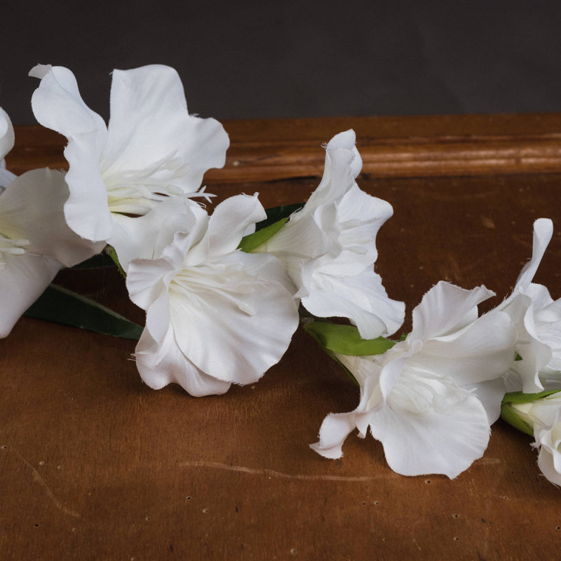 Anastasija Arrangement