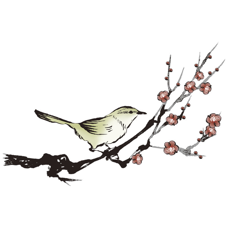 Bird Illustration - Wrapped Canvas Print, 81cm H x 122cm W x 3.8cm D