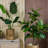 Modern Magnesium Planter-847124317