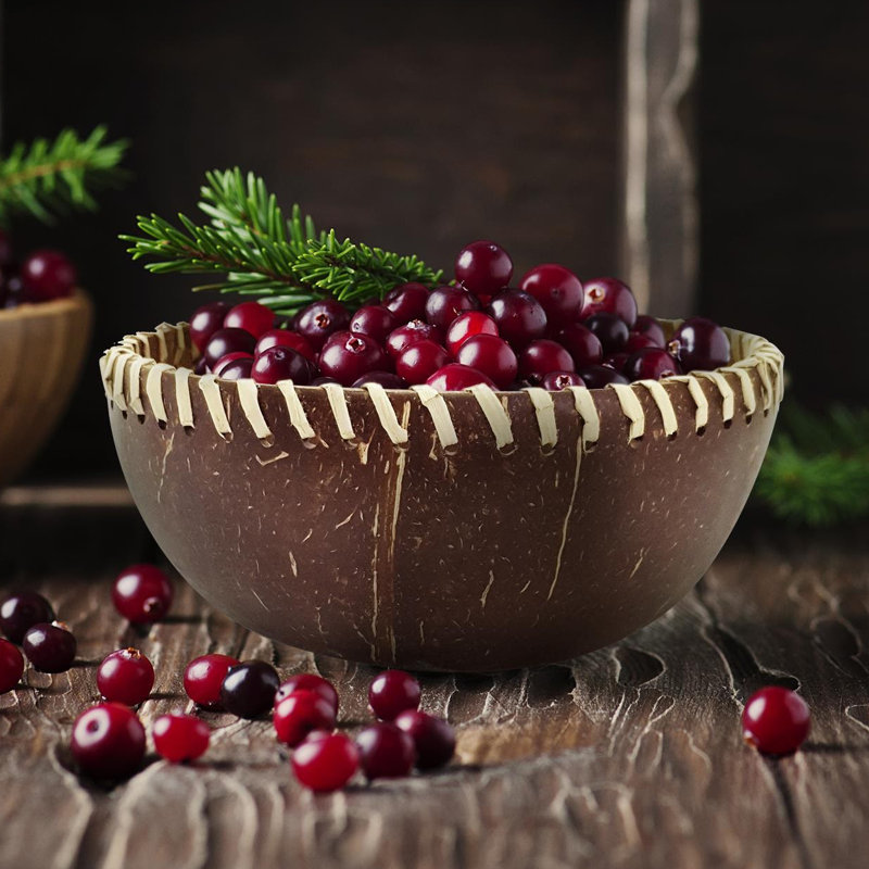 Fibre Coconut Bowl 4-Pack