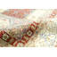 Oriental Area Rug