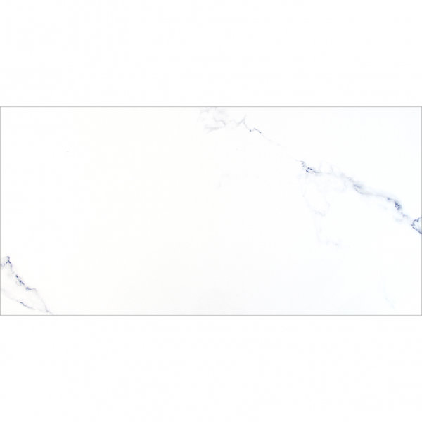Augusta Collection 24" x 48" Porcelain Marble Look Wall & Floor Tile
