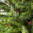 50.5' 100-Light String Lights-31889555