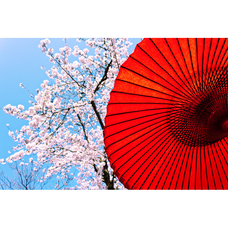 Cherry Blossoms by MoustacheGirl - Wrapped Canvas Print, 30cm H x 46cm W