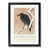 Black Framed