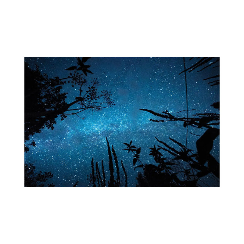 Night Magic by Mateusz Piesiak - Wrapped Canvas Print, 20.32 cm H x 30.48 cm W