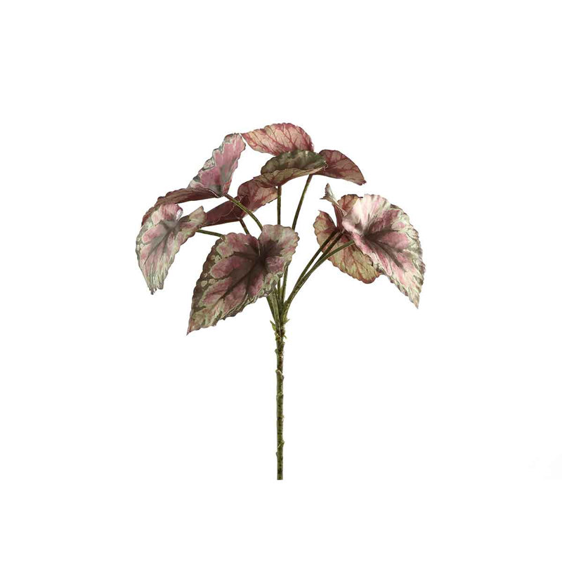 Leaves 33cm Plant