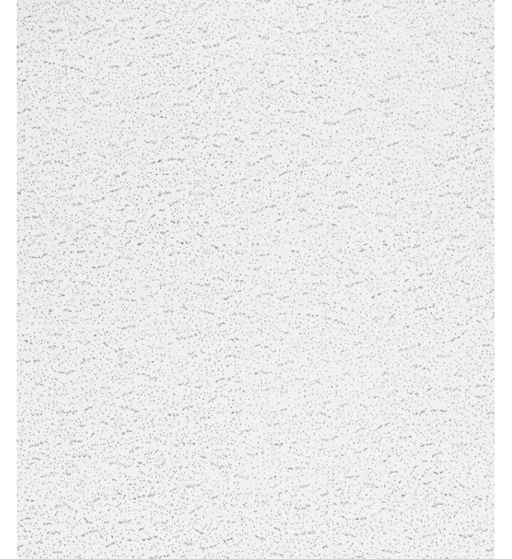 Textured Square Lay-In 15/16 2 ft. x 4 ft. Drop-In Mineral Fiber Acoustic Ceiling Tile in White, Set of 8