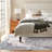 Fantino Rug-860857792