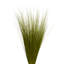 Faux Bright Grass Grass Plant Preserved