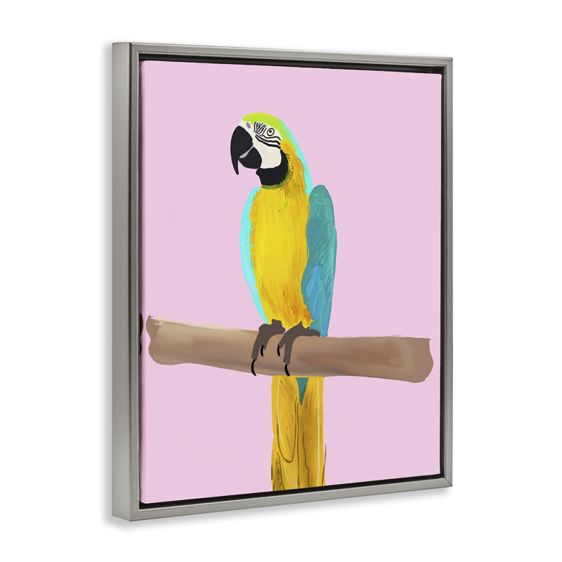 "Bright perroquet sur fond noir encadré" par Ashley Singleton, Cadre flottant gris lustré, H 21 po x l 17 po