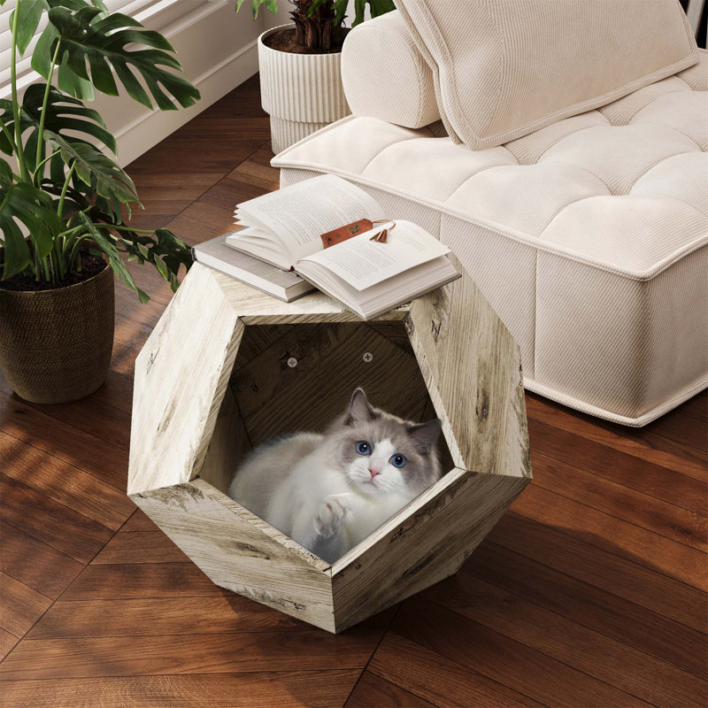 Table d'appoint multifonctionnelle et moderne pour transport d'animaux, idéale pour procurer du confort aux animaux de compagnie et servir de surface de rangement pratique