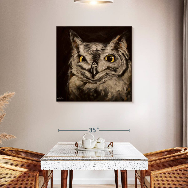 Brampt Black Background Owl