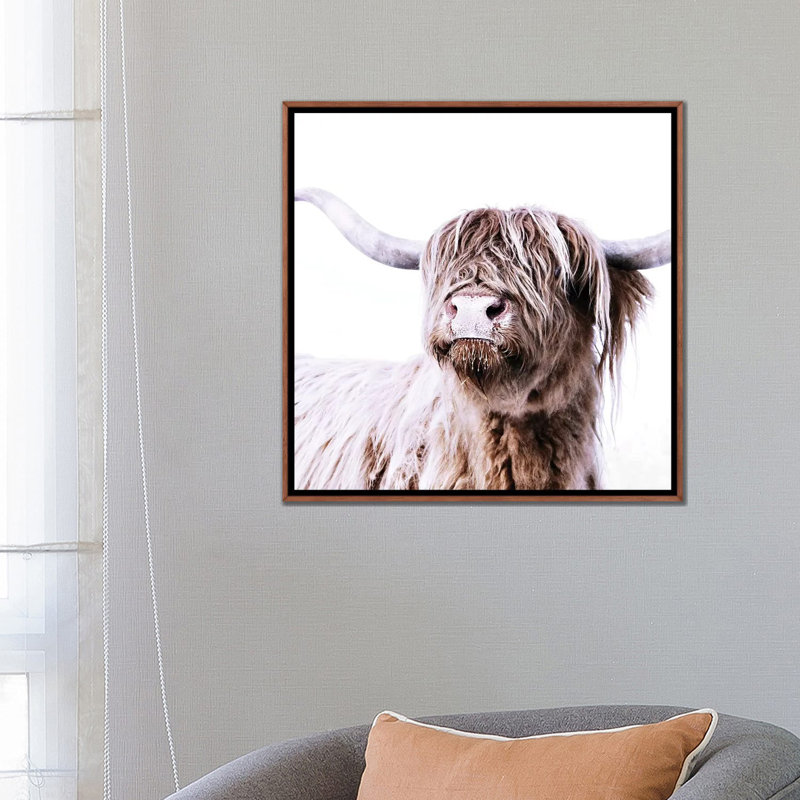 «Highland Bovins Frida I Square» par Monika Strigel - reproduction, Pas de tapis, H 26 po x l 26 po x P 1,5 po