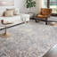 Tapis oriental gris Cudahy-1806610642
