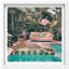 Oliver Gal Cheetah's Daydream Coastal - Luxury Shadowbox Framed Wall Art-443187592-443187596
