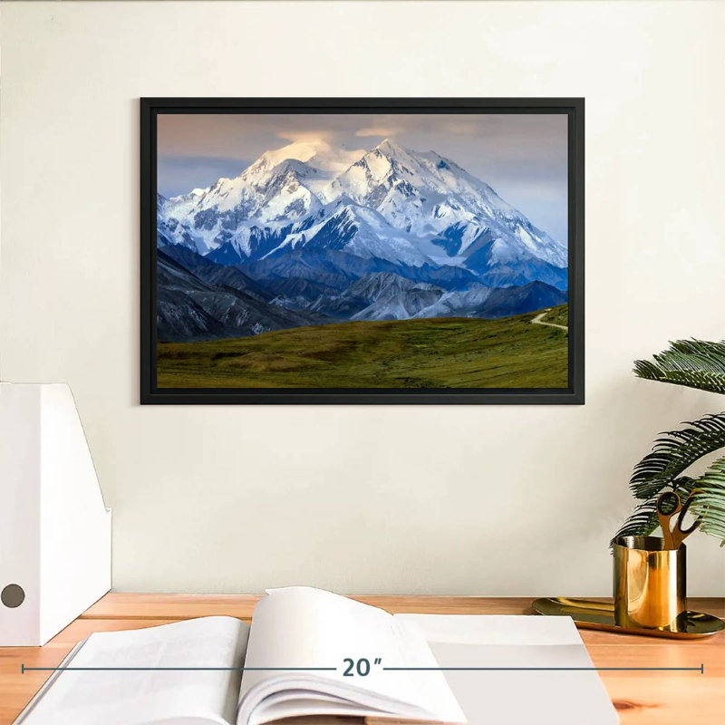 Denali en Alaska, Cadre flottant noir, 31 po x 21 po