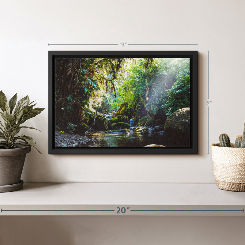 Forest In Panama Canvas Print, 9" H x 13" W