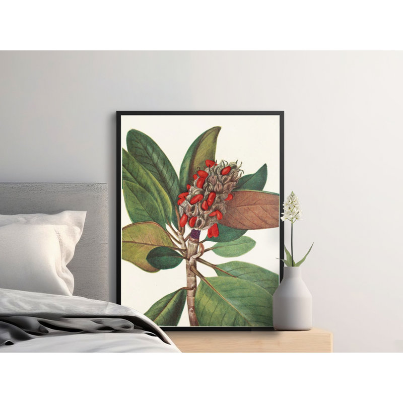 Bellamira Floater Frame Print, 24x36