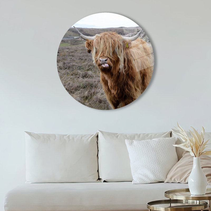 Grande grande suspension murale en verre trempé mettant en vedette une vache Highland écossaise idéale pour un décor d'homme des cavernes ou comme cadeau personnalisé