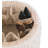 Halo Upholstered Ottoman