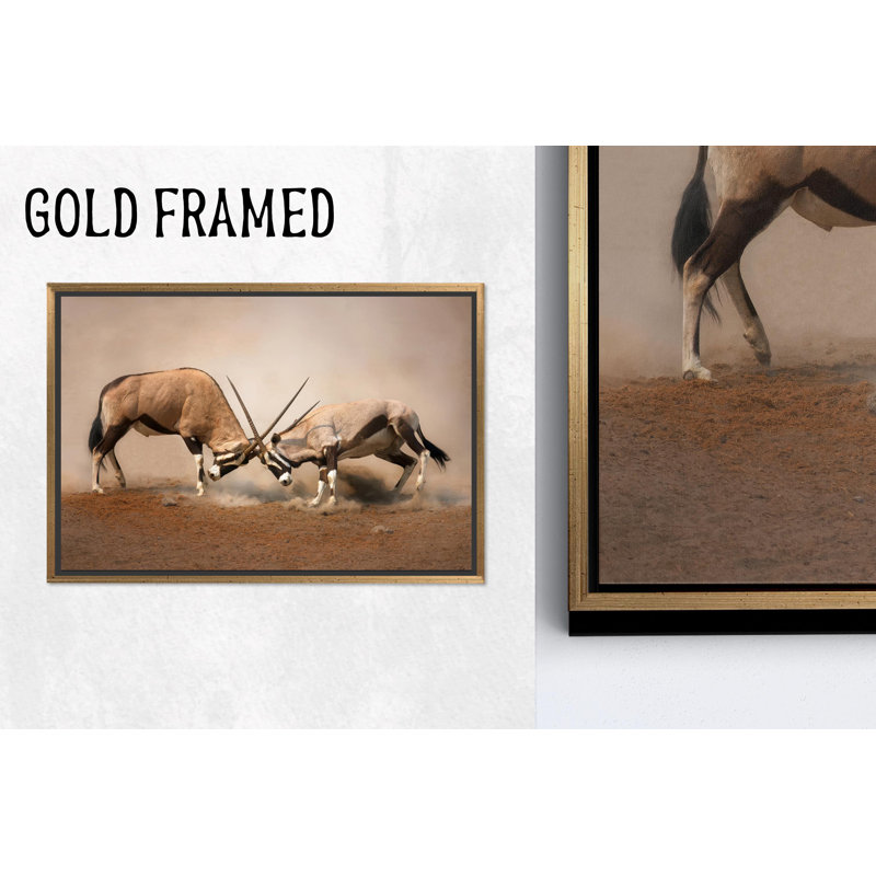 Reproduction d'art sur toile imprimée: art mural Gemsbok - décor de la faune d'Afrique, 1P or encadré