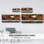 Golden Poppy- Framed Canvas-1415623581
