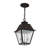 Arnetria 2 - Light Outdoor Hanging Lantern-22670196
