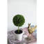 3 mini topiaires en pot crème - Décoration élégante pour tables basses et de salle à manger