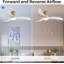 Ventilateur de plafond moderne de 52 pouces avec moteur à courant continu réversible à télécommande à 3 pales à intensité variable 3 couleurs-1184716344-1184716346