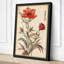 Carnation Study Botanical - Wrapped Canvas-2013688608-2013688610