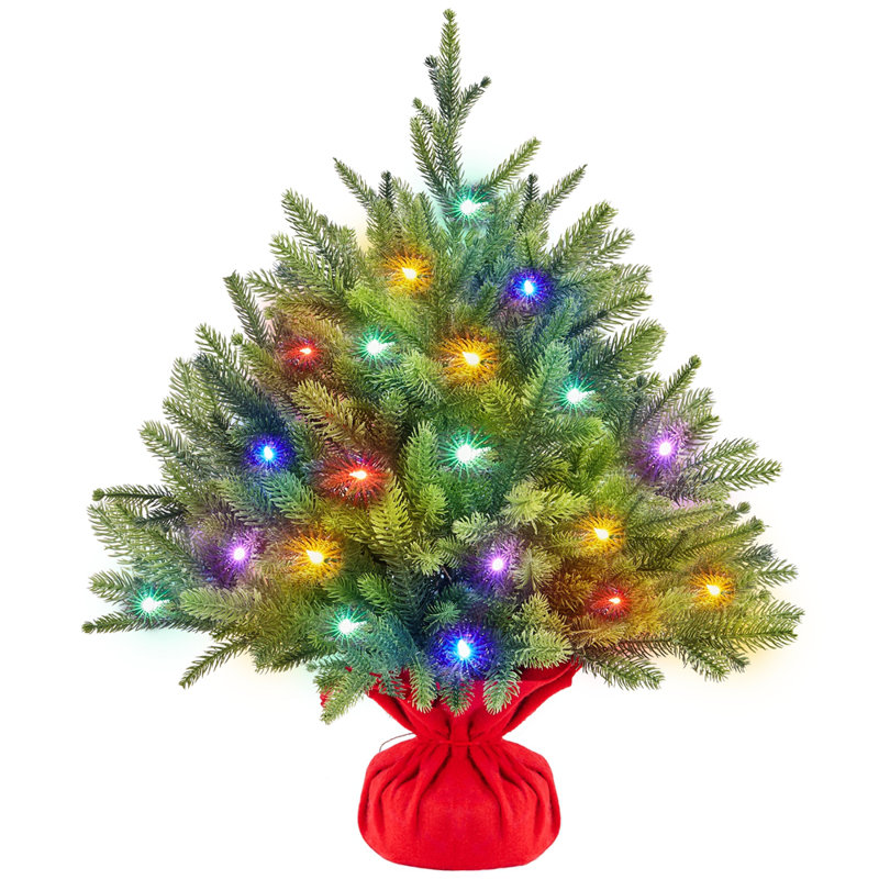 Annaliesa Lighted Artificial Spruce Christmas Tree, 2' H