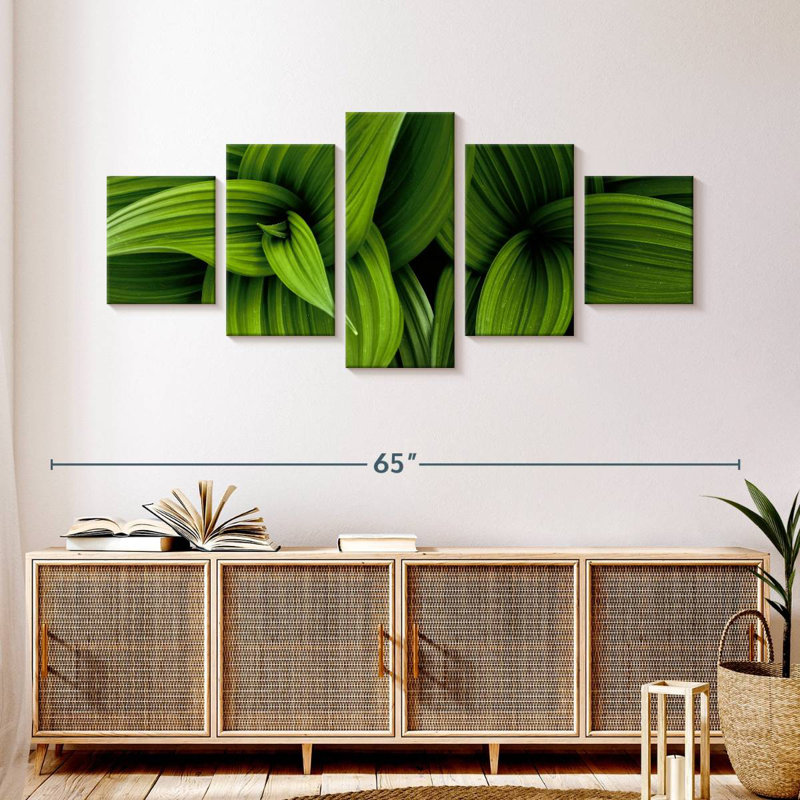 Green False Hellebore, 24" H x 55" W