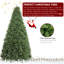 12 arbres de Noël