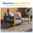 Palina 63'' Teak Outdoor Loveseat, Patio Sofa with Cushions