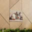 «Chinchilla Couple» Chinchilla Troop Art mural-66084996
