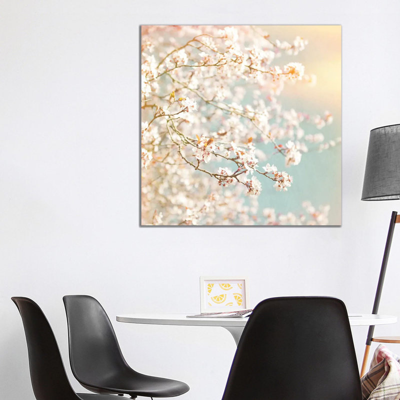Sunlit Blossom - Wrapped Canvas Print, 93.98 cm H x 93.98 cm W x 1.91 cm D