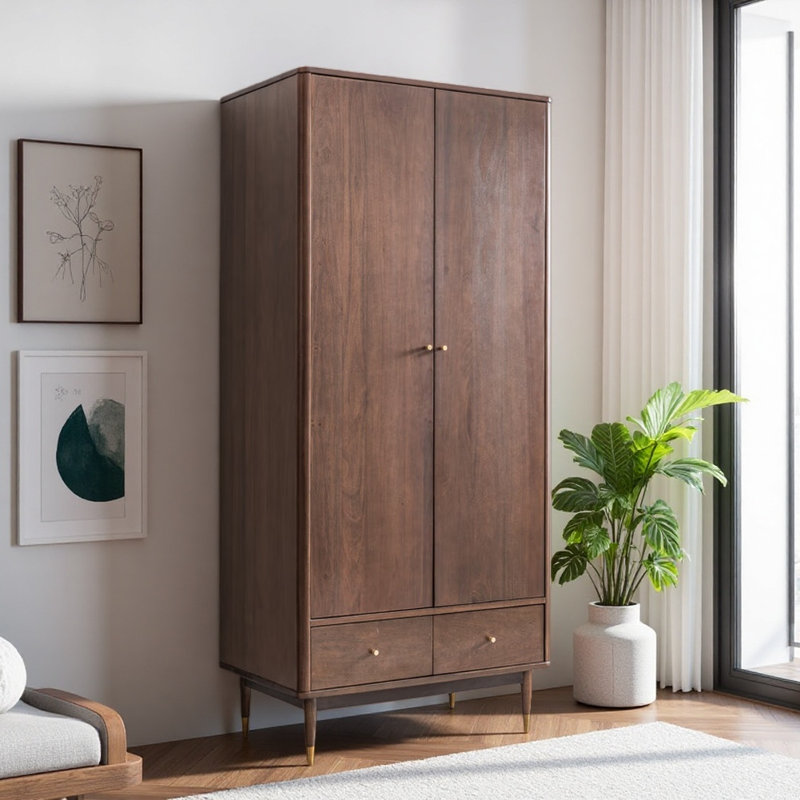 Armoire moderne, simple et légère à deux portes de luxe