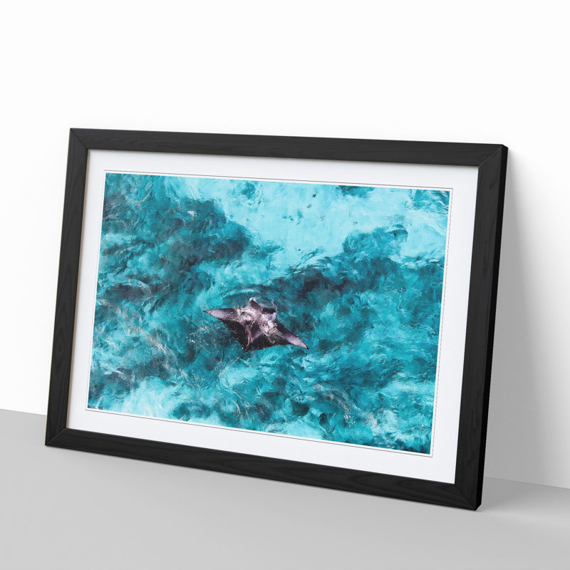 Manta Ray - Picture Frame Painting, Black Framed, 36cm H x 48cm W x 2cm D