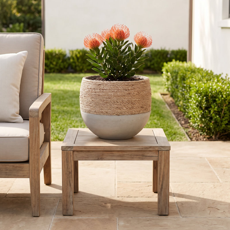 Elanie Concrete Pot Planter, 11.5" H x 12" W x 12" D