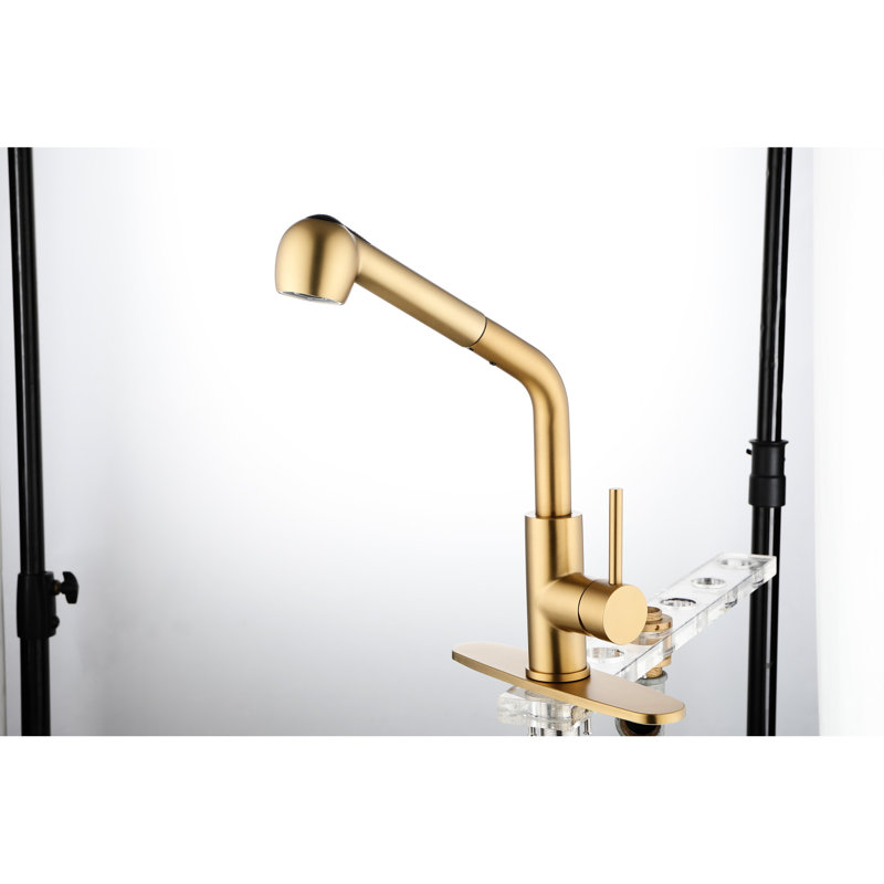 Robinet de lavabo extractible simple à fonction de jet double en acier inoxydable doré, buse haute rotative à 360 °, débit d'eau et température facile, conception rouille avec acier inoxydable pour la lessive, rotation de la buse,