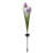 Botanical Solar Stake -Set/3