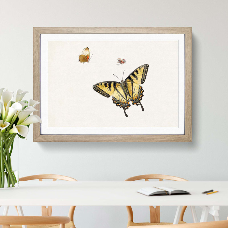 Three Butterflies by Herman Henstenburgh - Picture Frame Painting Print, Oak Framed, 27cm H x 36cm W x 2cm D