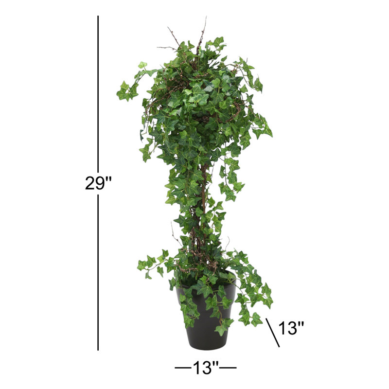 Mini topiaire lierre en pot à volutes