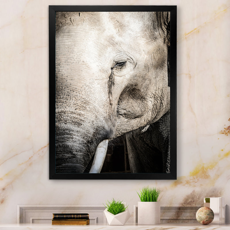 Gros plan sur un éléphant - Impression sur toile, Cadre photo noir, H 20 po x l 12 po