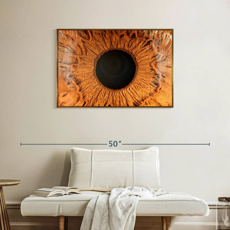 Œil humain magnifié, Cadre flottant doré, 37 po x 25 po