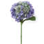 Tige d'hortensia 18 po - paquet de 6