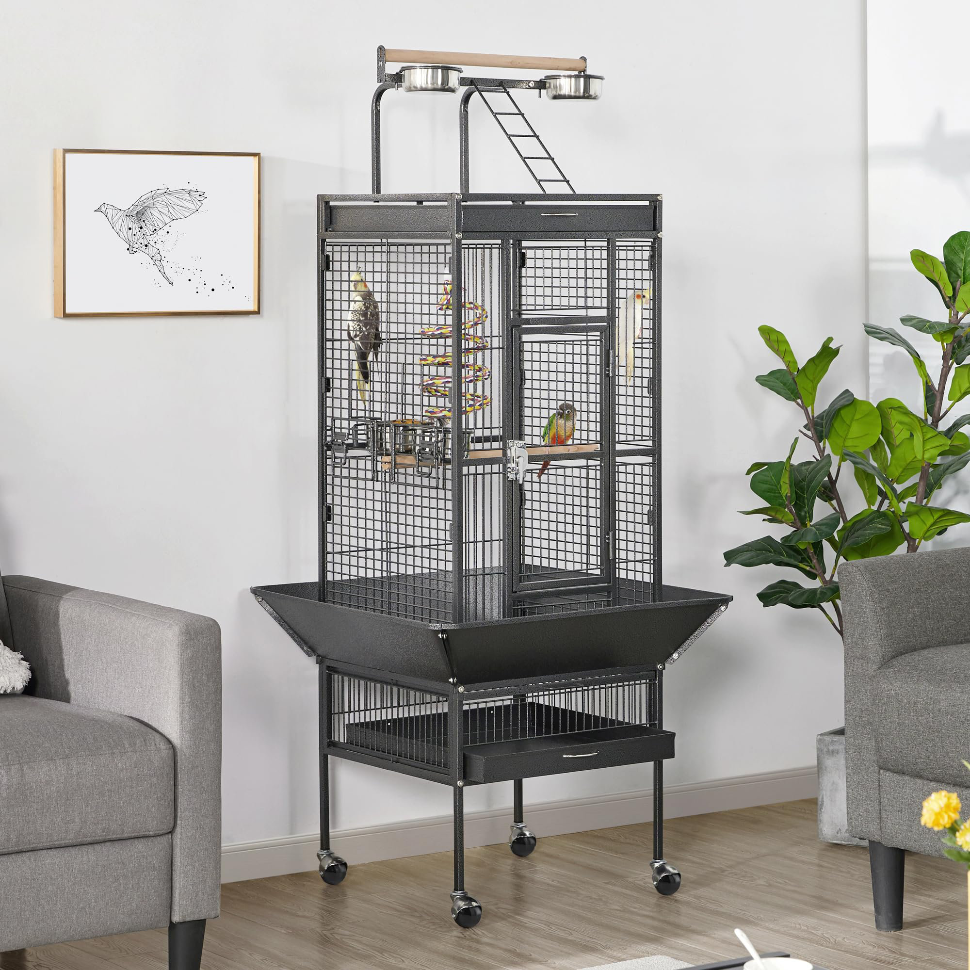 Beautiful view of Amazon Parrot Cage Sale Australia